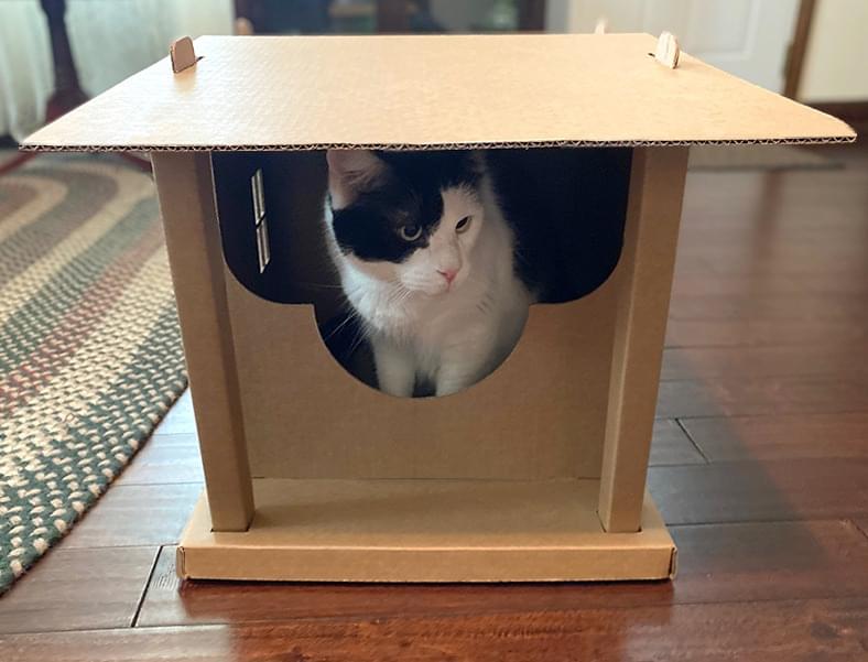 Kitty Cabins by Heres To Ya LLC